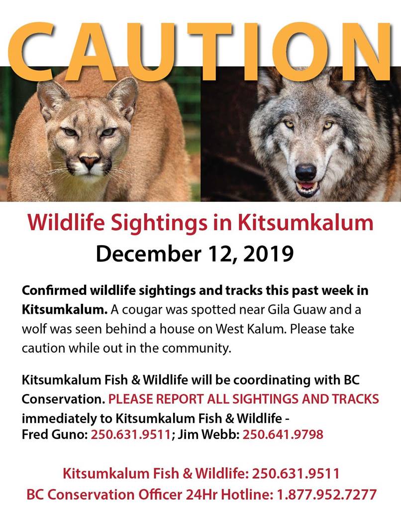 CAUTION: Confirmed Wolf sightings & Fresh Cougar Tracks